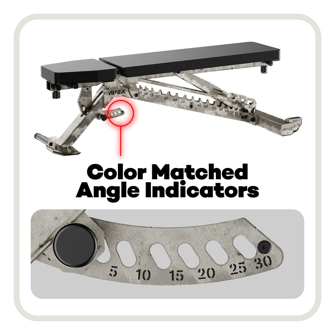 APEX ADJUSTABLE BENCH