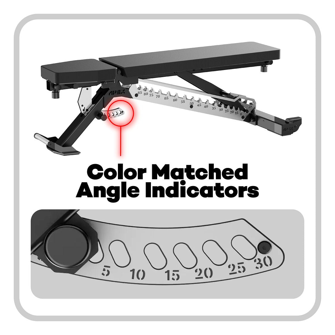 APEX ADJUSTABLE BENCH