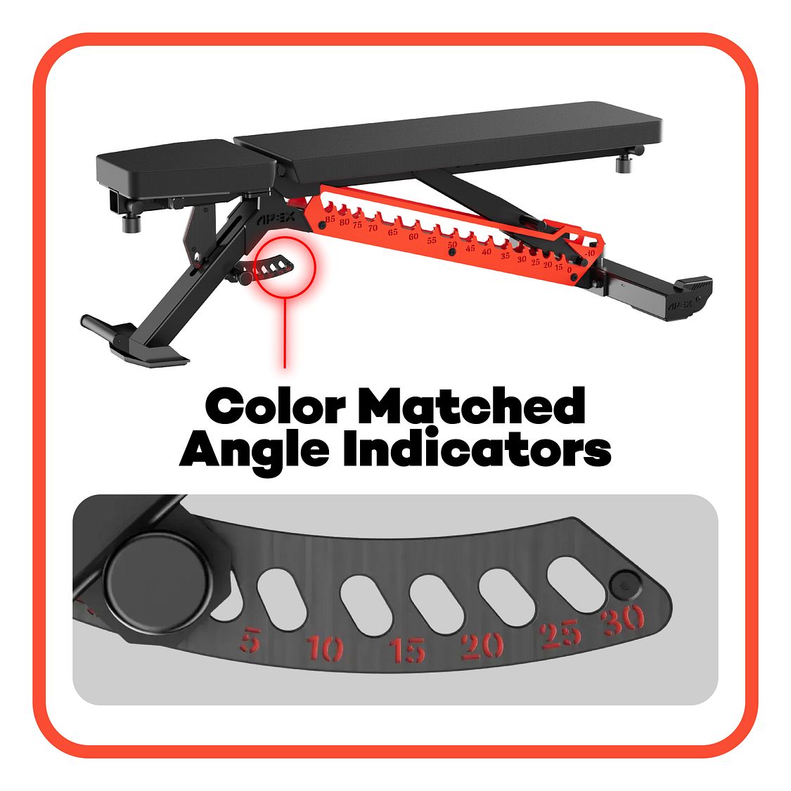 APEX ADJUSTABLE BENCH