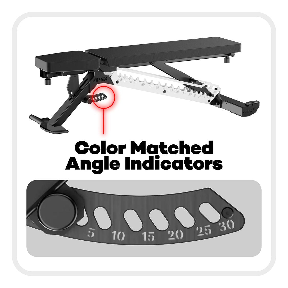 APEX ADJUSTABLE BENCH