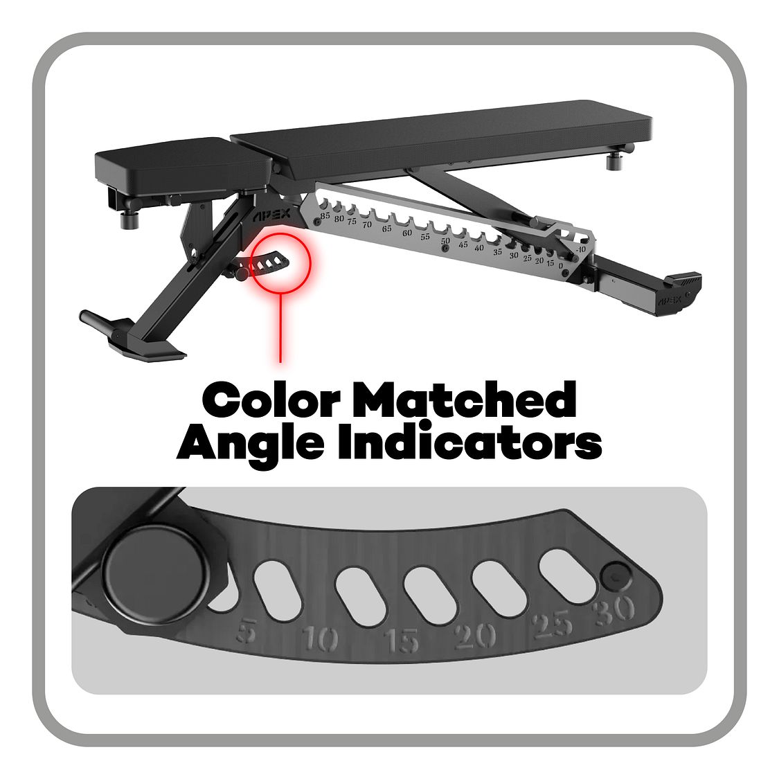 APEX ADJUSTABLE BENCH