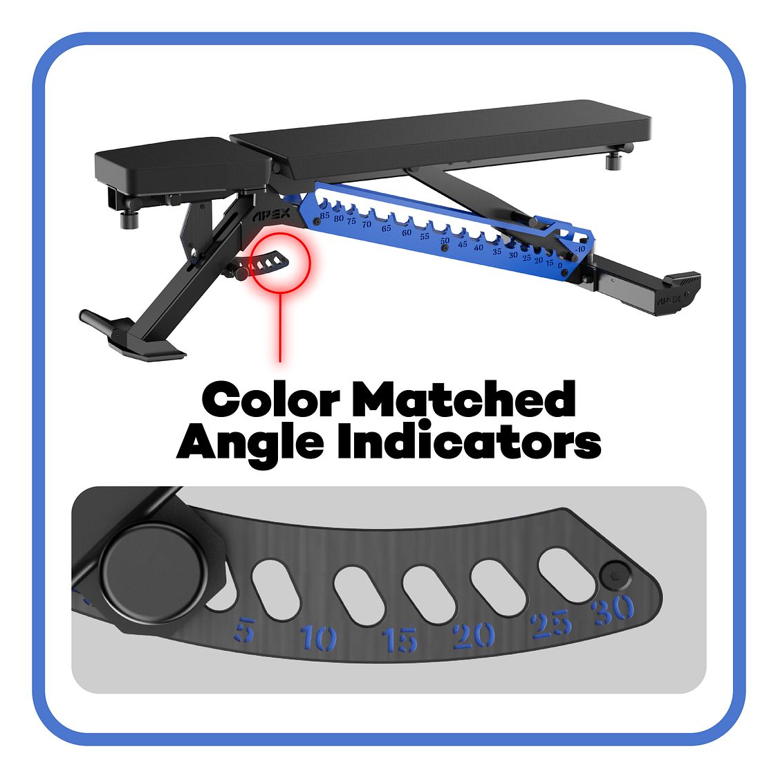 APEX ADJUSTABLE BENCH