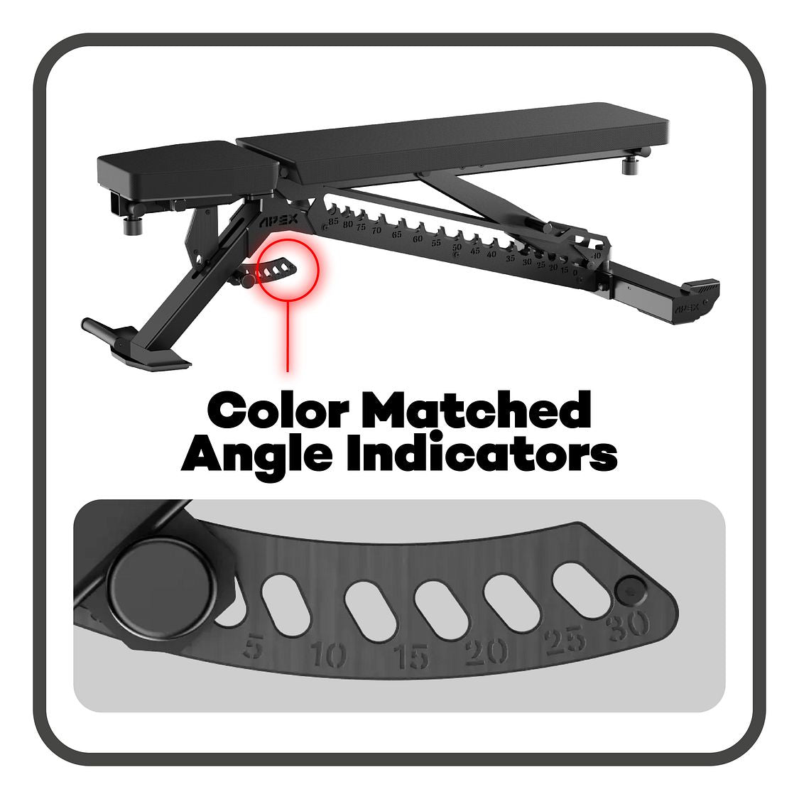 APEX ADJUSTABLE BENCH