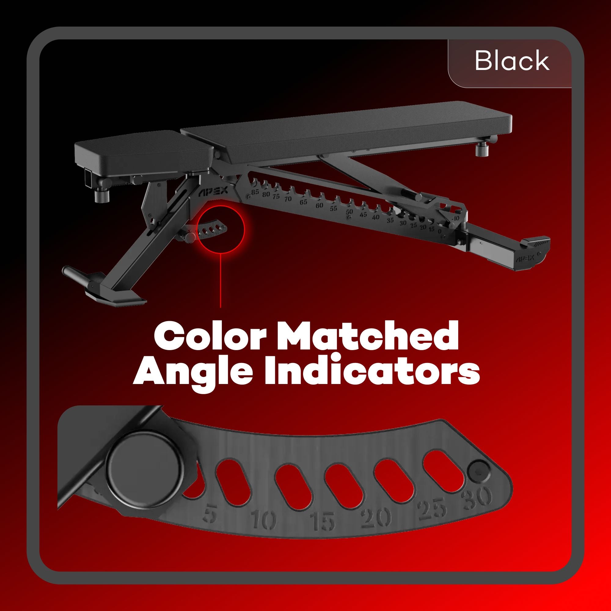 APEX ADJUSTABLE BENCH