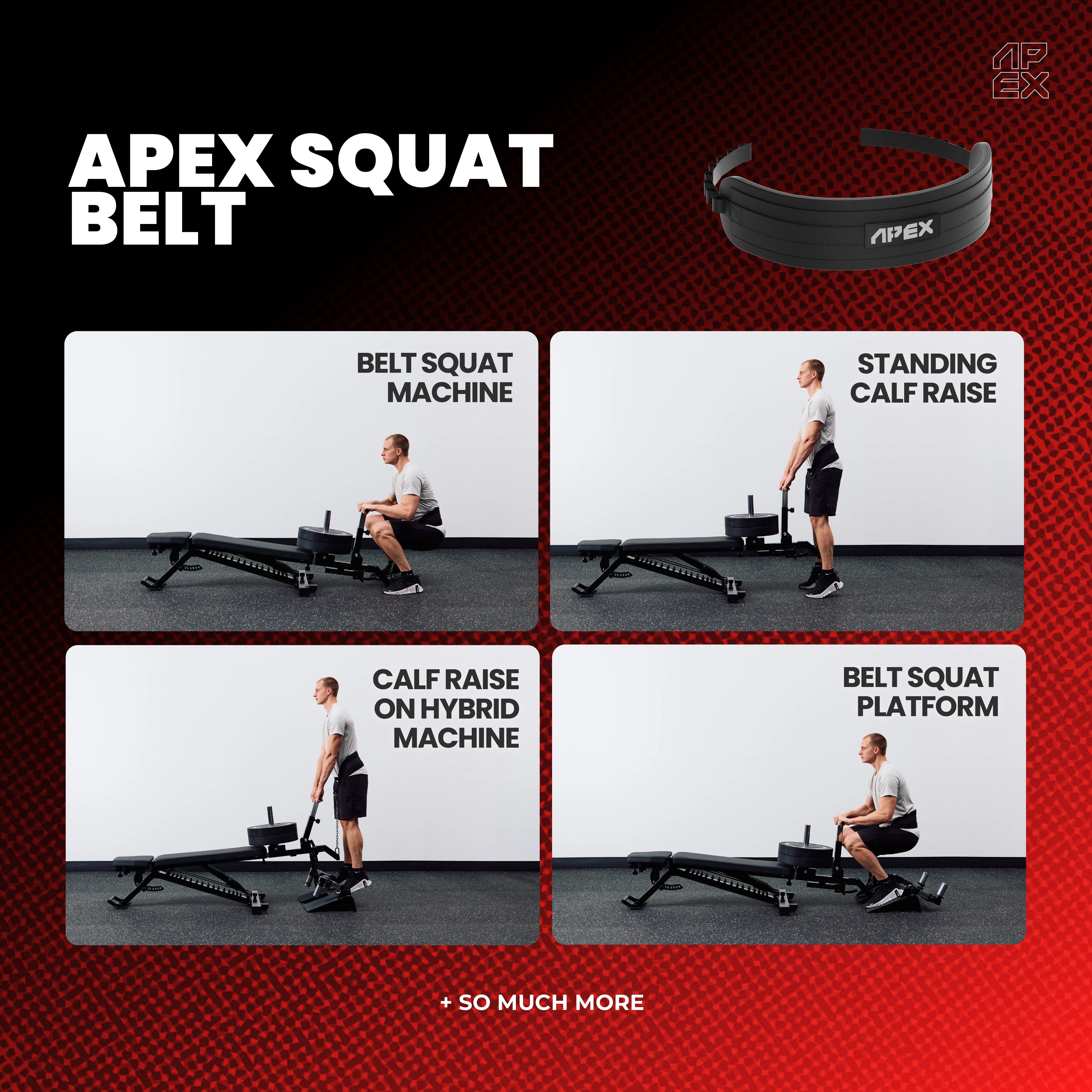 APEX SQUAT BELT