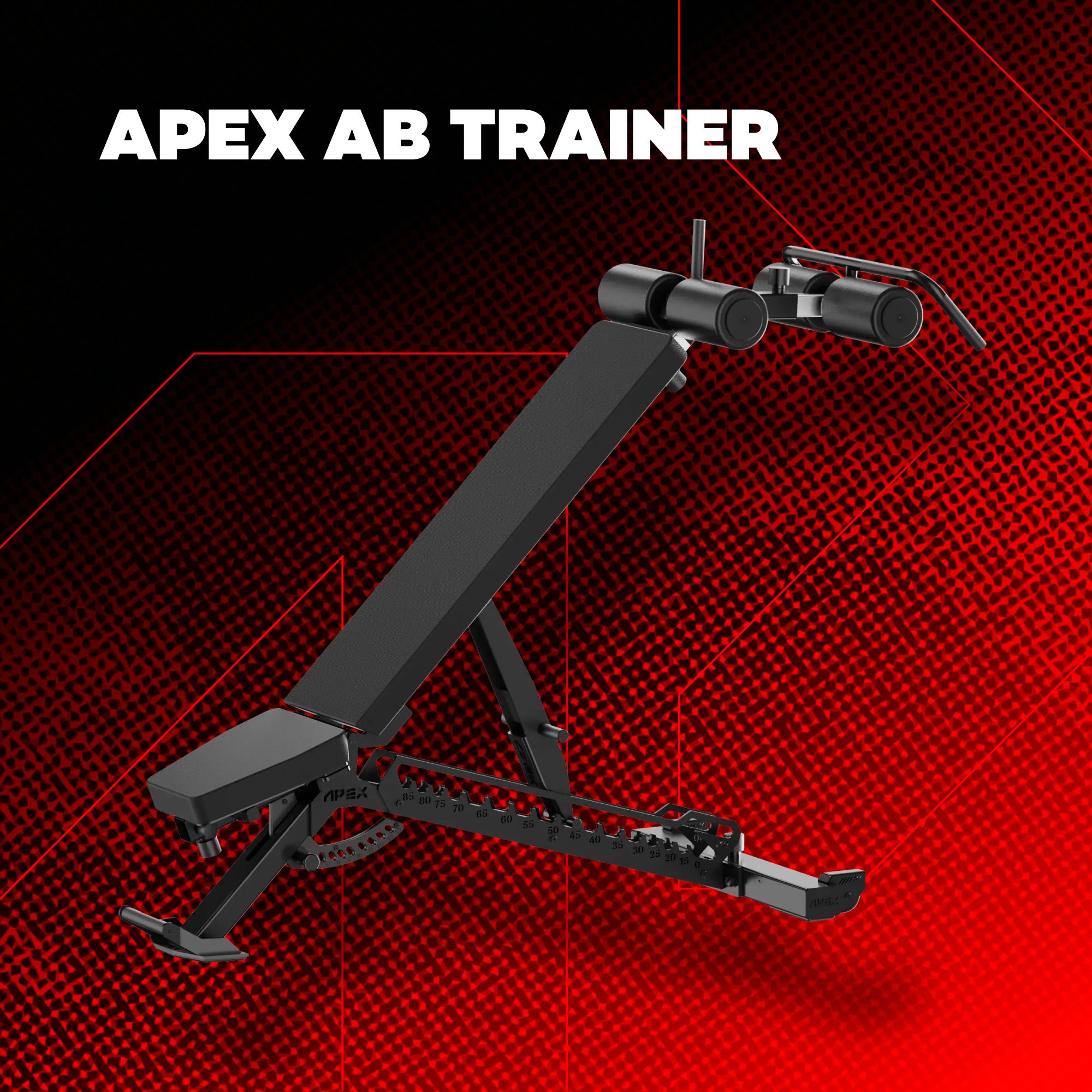APEX AB TRAINER