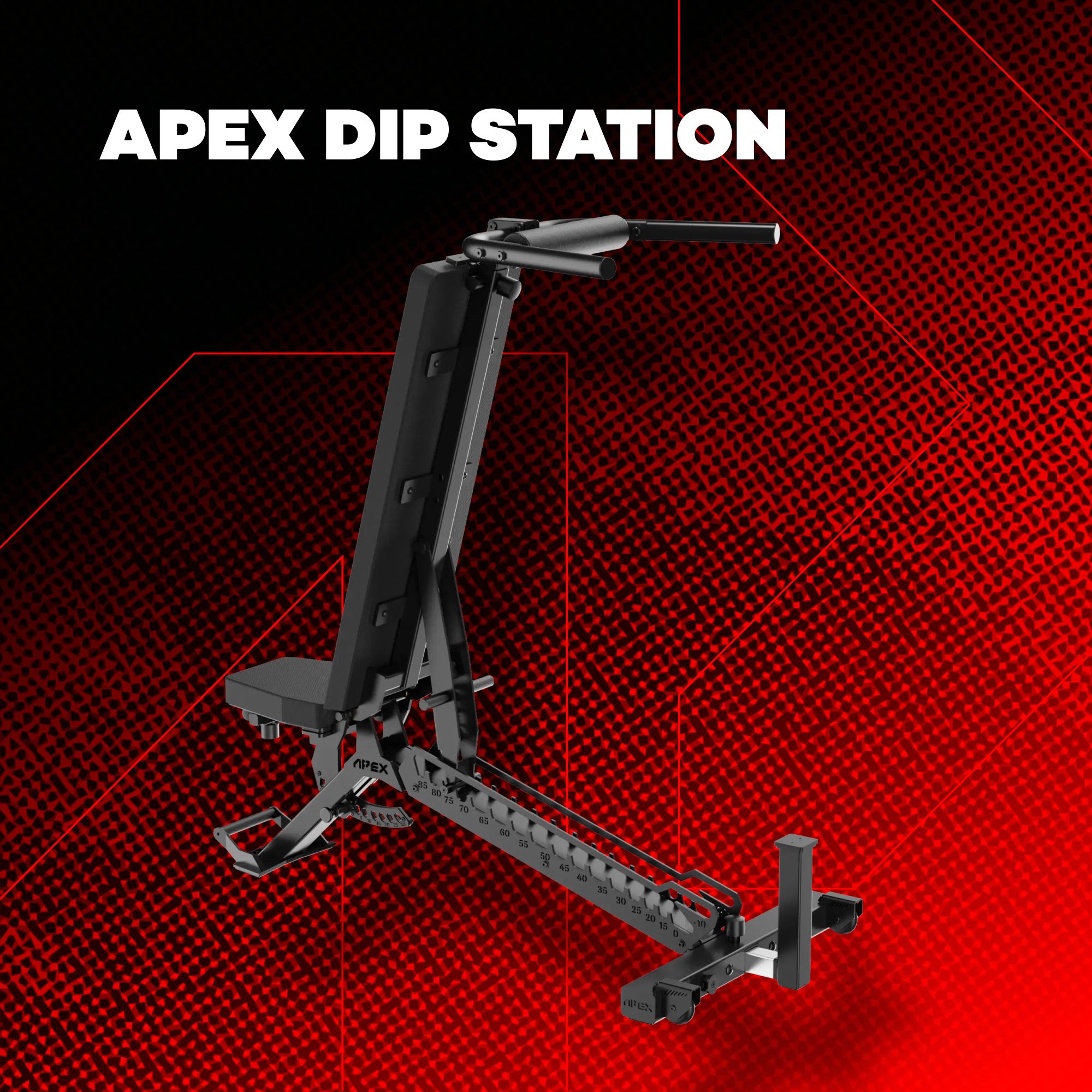 APEX DIP STATION