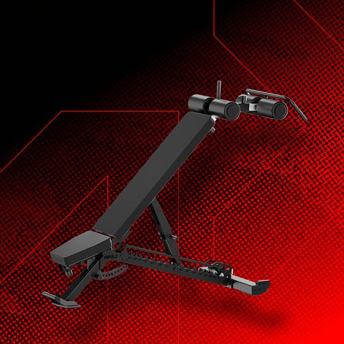 APEX AB TRAINER