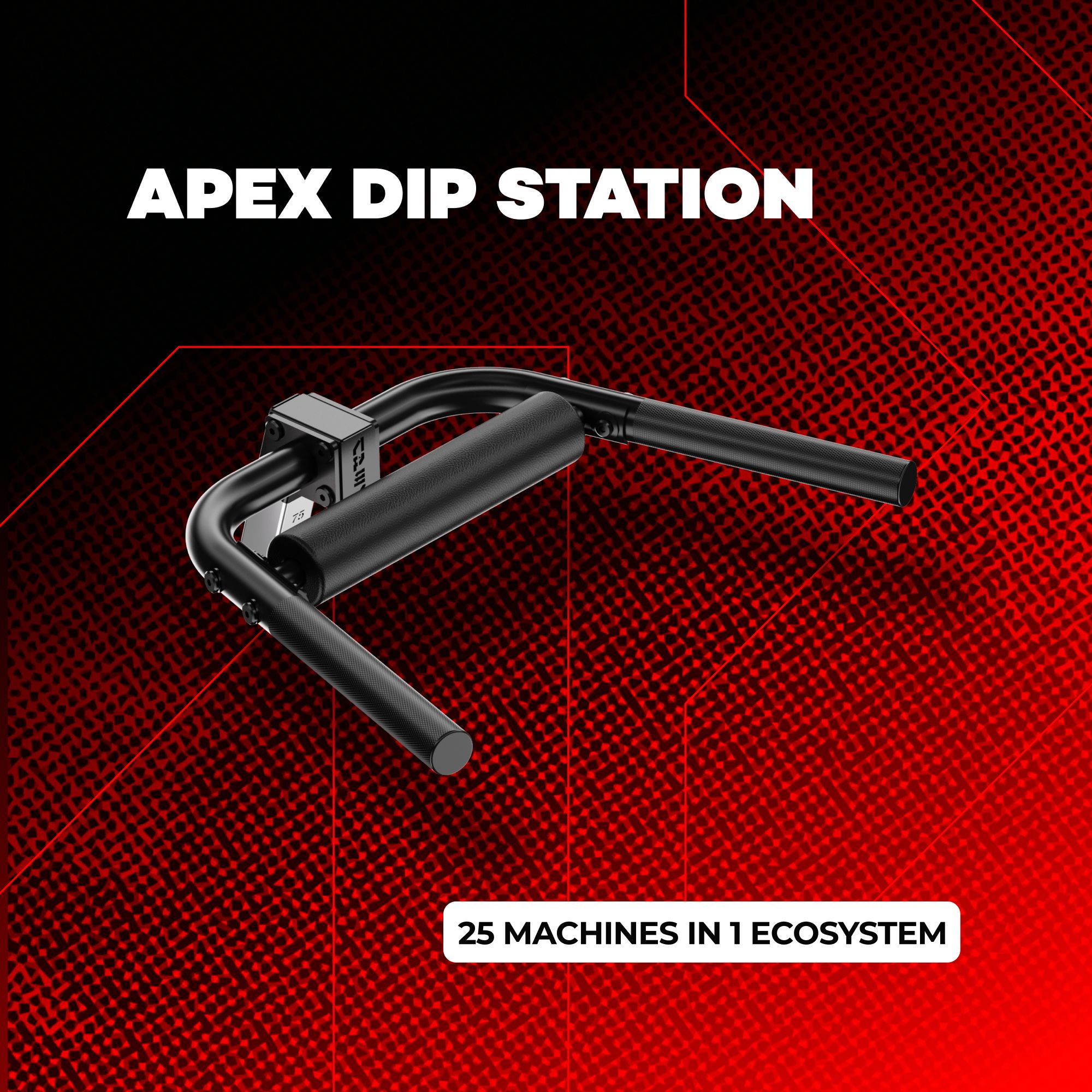 APEX DIP STATION