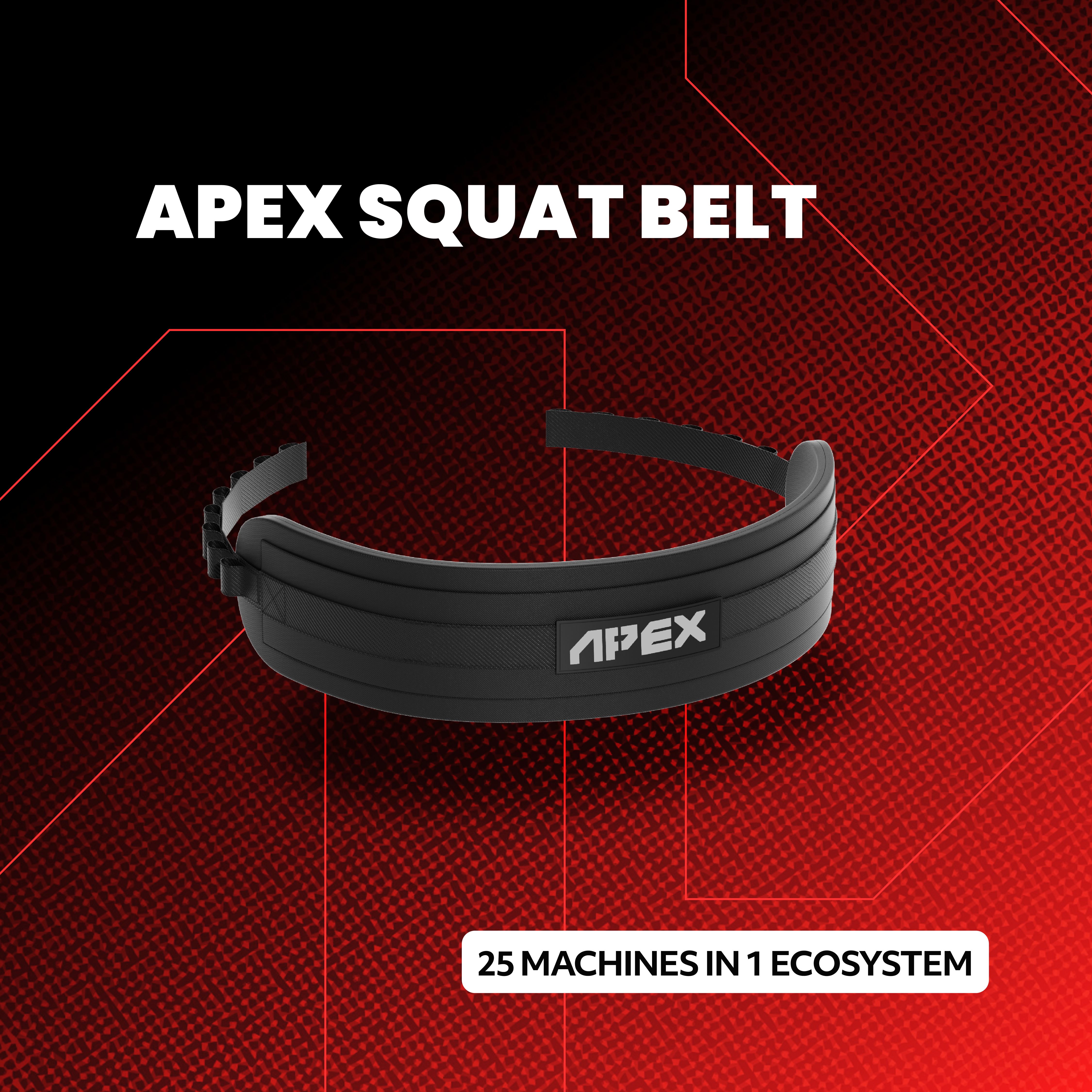 APEX SQUAT BELT