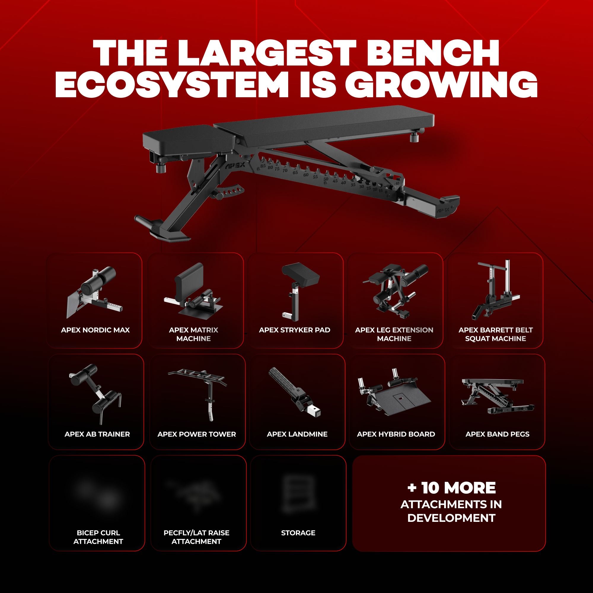APEX ADJUSTABLE BENCH