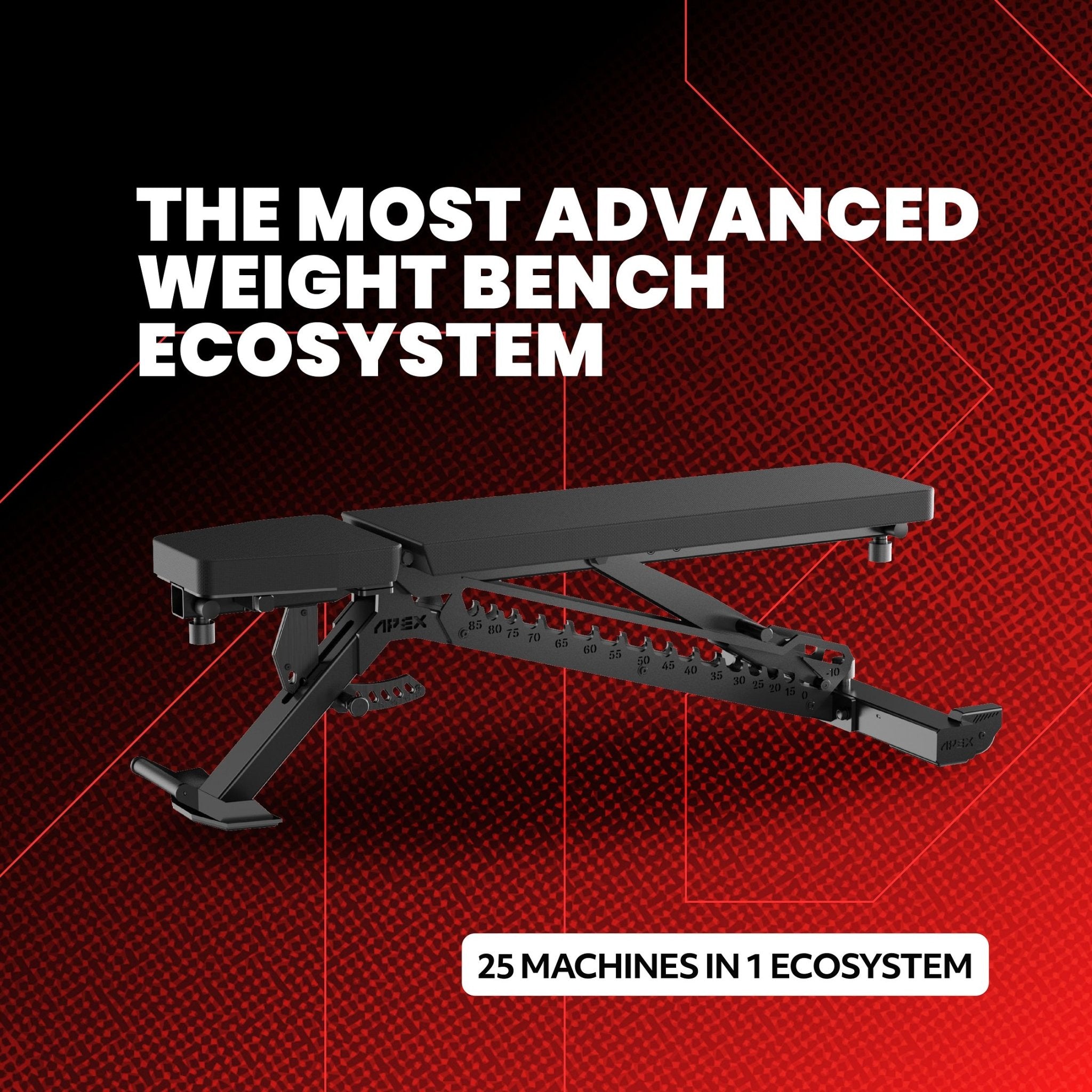 APEX ADJUSTABLE BENCH - APEX FITNESS
