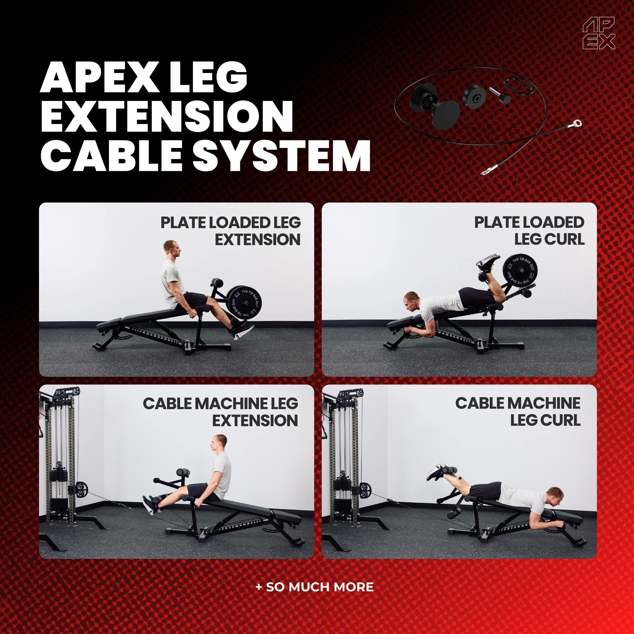 APEX LEG TRAINER CABLE SYSTEM - APEX FITNESS