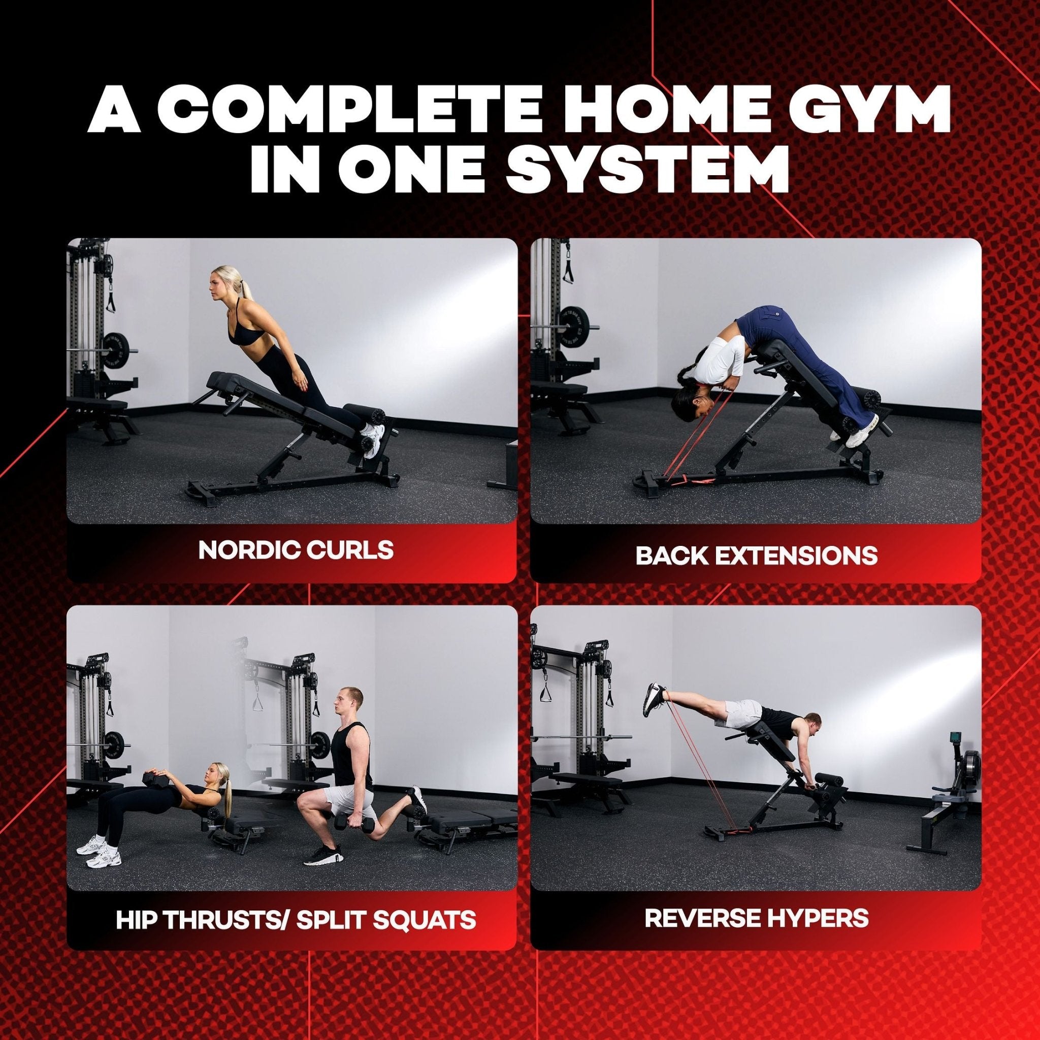 APEX NBE - APEX FITNESS