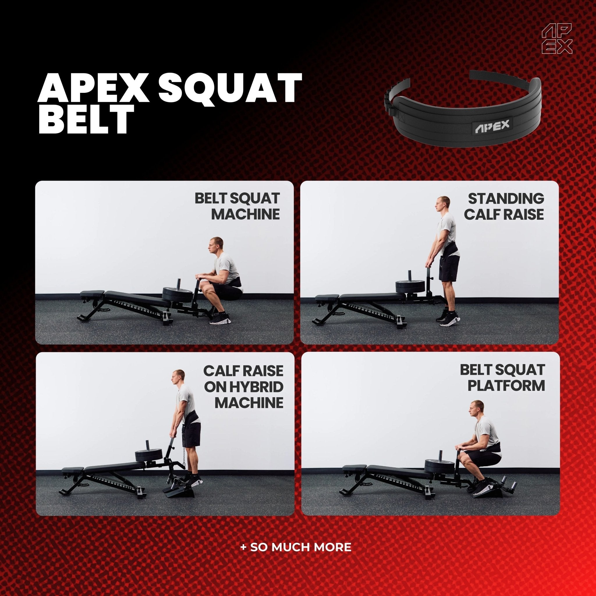 APEX SQUAT BELT - APEX FITNESS