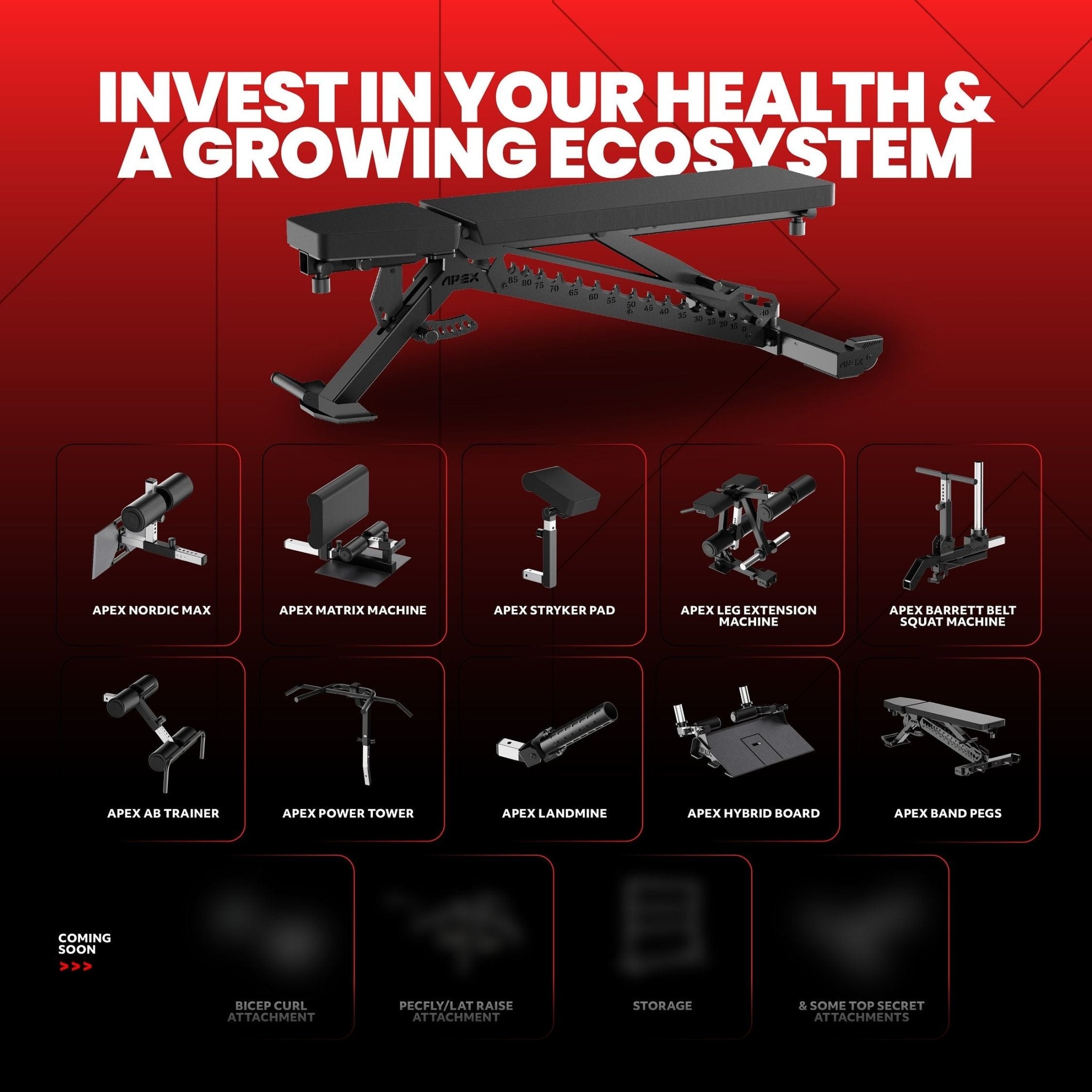 APEX SQUAT BELT - APEX FITNESS