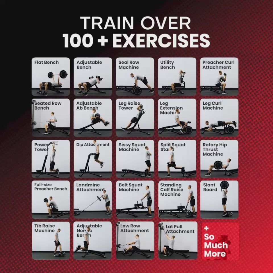 APEX Adjustable Bench supporting 100+ exercises.